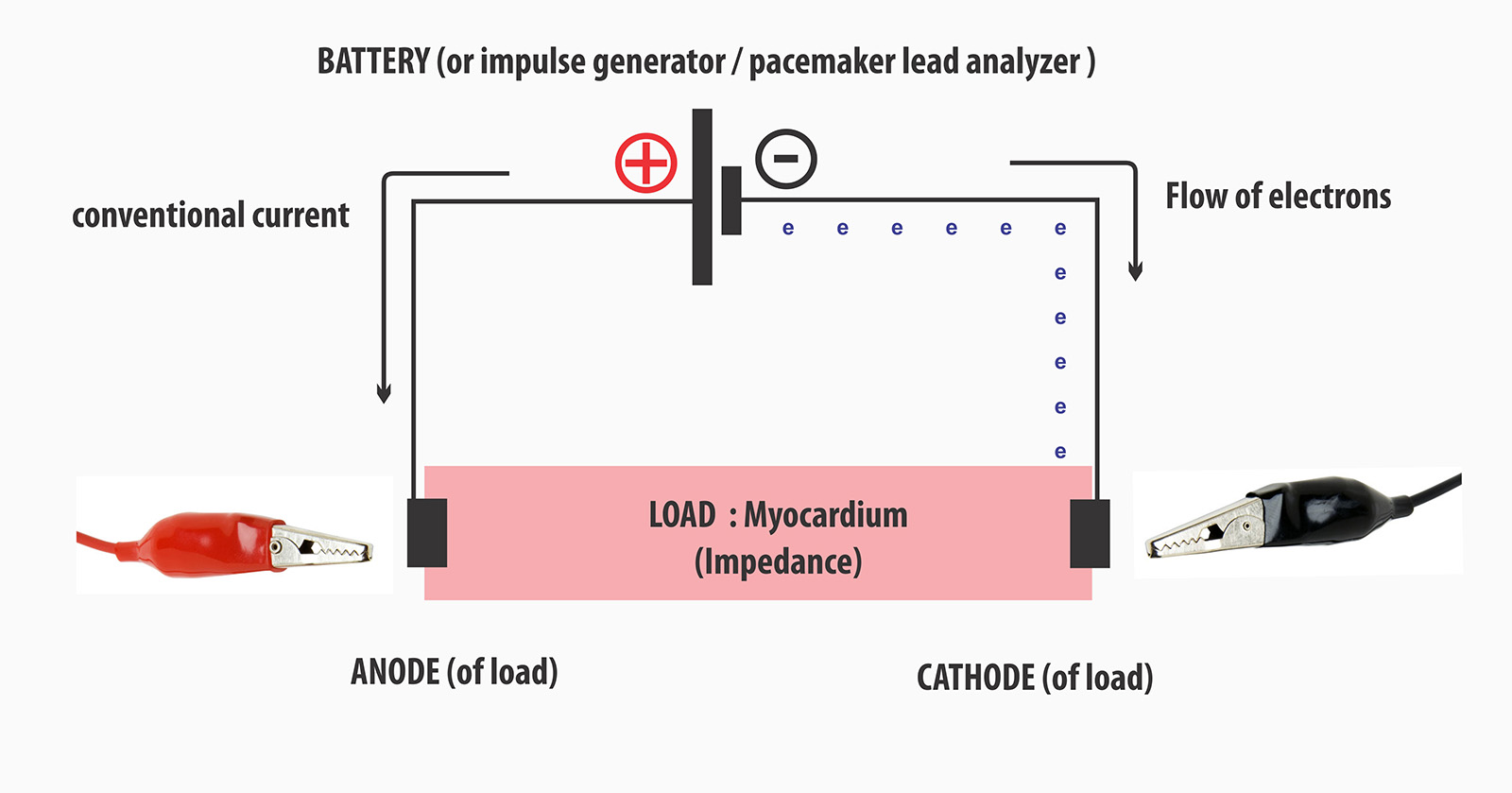 Nerve stimulator and the electrodes: anode (red) and cathode (black).